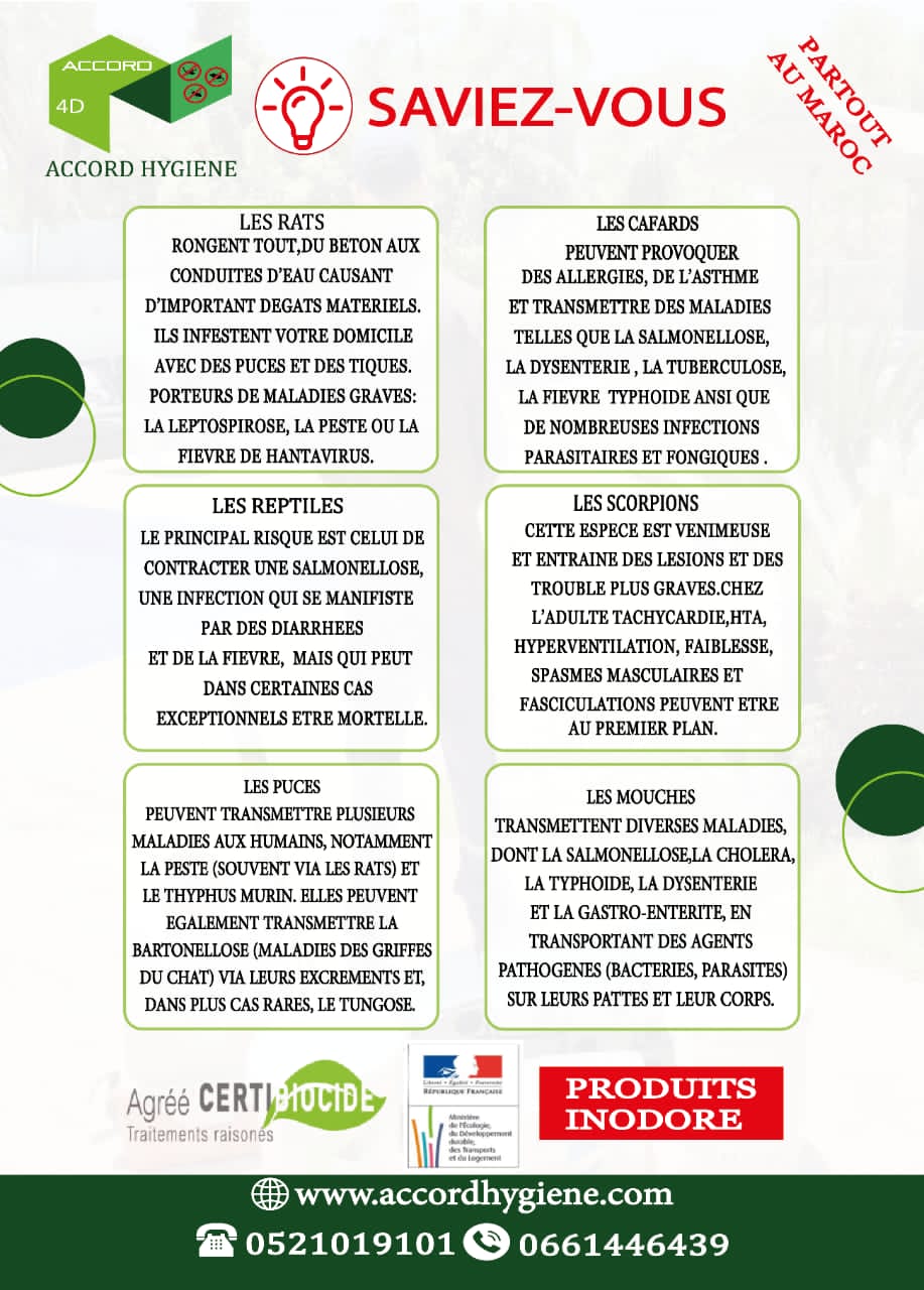 Affiche 2