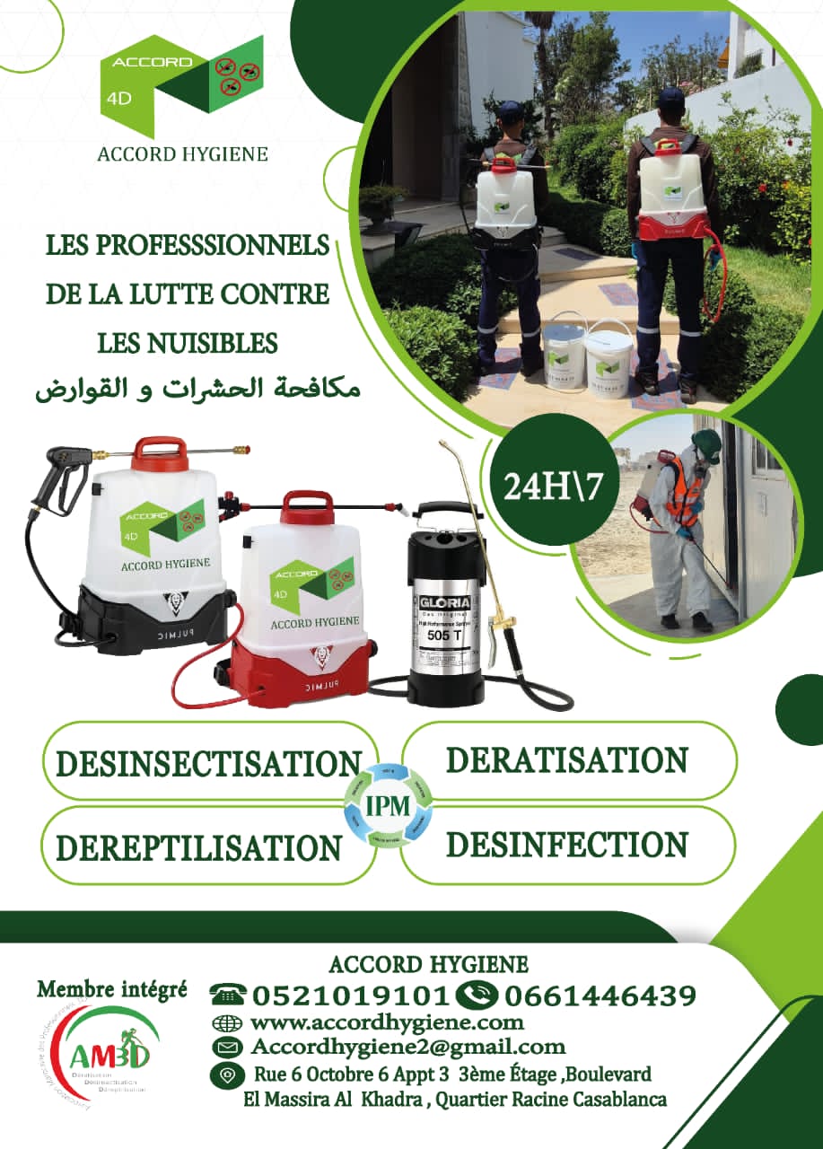 Affiche 1